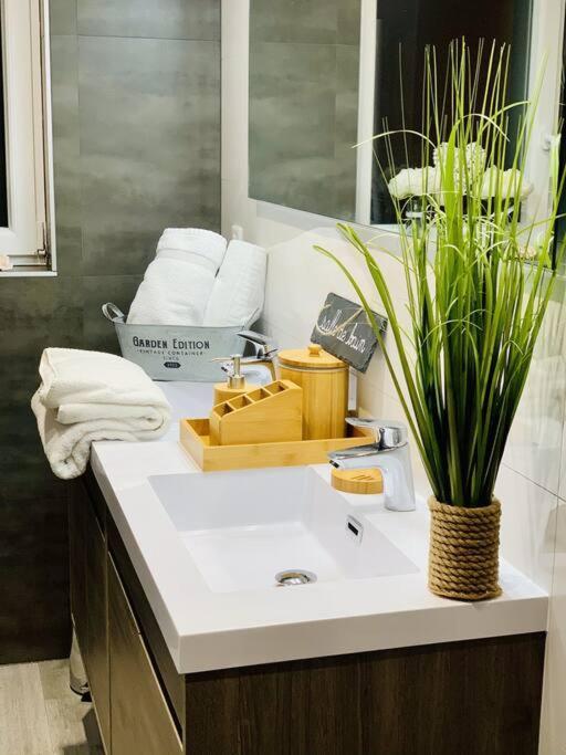 Gite Cosy Au Coeur De L'Alsace Roggenhouse Exteriör bild